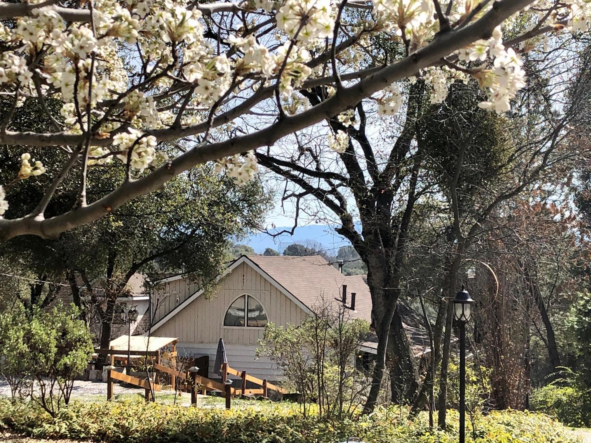 Sierra Mountain Lodge - Vacation Rentals - Yosemite Ahwahnee Eksteriør bilde